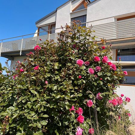 Ferienwohnungen Im Rosengarten بودمان لودفيغسهافن المظهر الخارجي الصورة