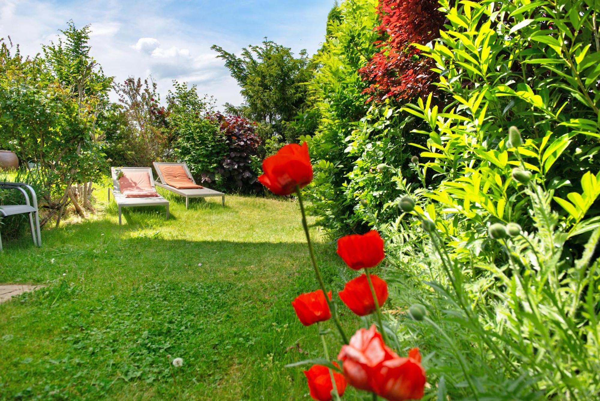 Ferienwohnungen Im Rosengarten بودمان لودفيغسهافن المظهر الخارجي الصورة
